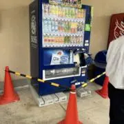 ムサシの画像