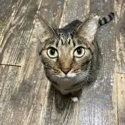 実家整理中のおっさんの画像