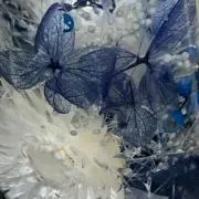 みぃ