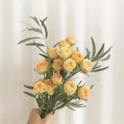 モン：即購入可の画像