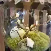 Yunnの画像