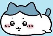 Ⓜ︎shop 即購入歓迎！即日配送！の画像