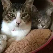 ひでぽん