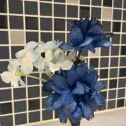 瑠璃☆