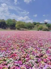ゆうの画像