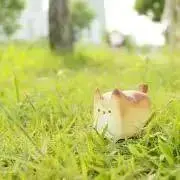 :）091の画像