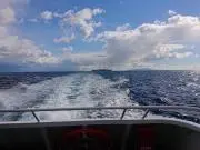 YSYの画像