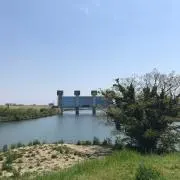ryo【セール中】の画像