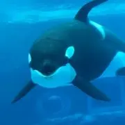 もの画像