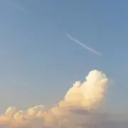 みのの画像