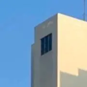 タローの画像