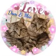 ✿Dom❤Mia✿プロフ必読✿