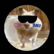 hicheの画像