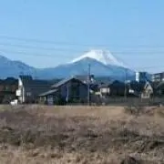 アニータの画像