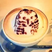 ぴょんの画像