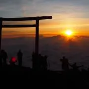 ボスの画像