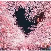 ベティの画像