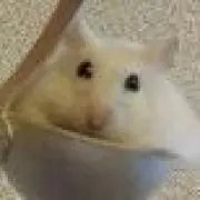 プー太