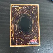 eagle.tailの画像