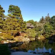 Rosonaの画像