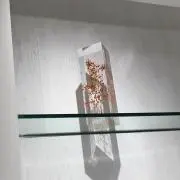 ゆゆの画像