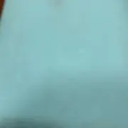 おーちゃんの画像