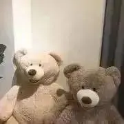 ぱん粉の画像