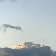 おひまの画像