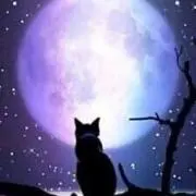 K Hの画像