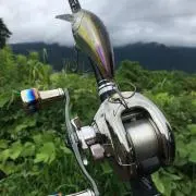 がっちゃん☆の画像