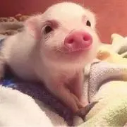 りーま
