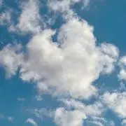 すいかの画像