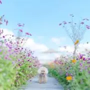 ももママの画像
