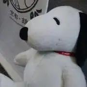 ともまやの画像
