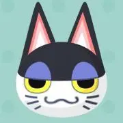 JN★の画像