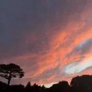 Amateraの画像