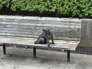 まよの画像