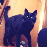 のん
