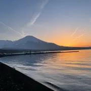 Neruの画像