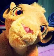 simbaの画像