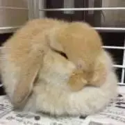 すなぎも【⚠️プロフ必読願います⚠️】