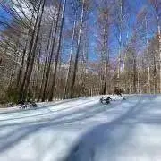 うめの画像