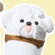 yukiの画像