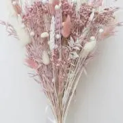 SALE品多数★meg★の画像