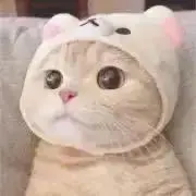 ♡の画像