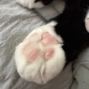 あすの画像