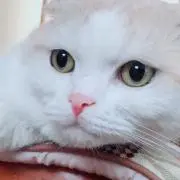 そらの画像