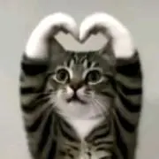 ポヨコ