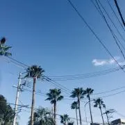 アニン