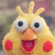 メイの画像